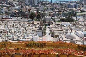 WhatsApp Image 2025-03-24 at 17.13.38.jpeg